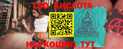 тгк Кингисепп