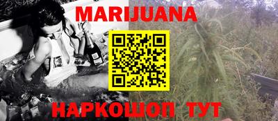 тгк Кингисепп