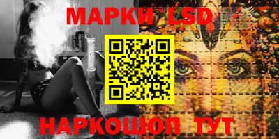 тгк Кингисепп