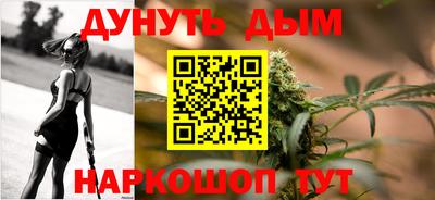 тгк Кингисепп
