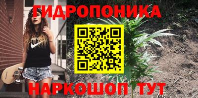 тгк Кингисепп