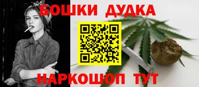 тгк Кингисепп